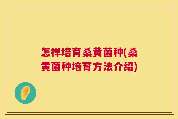 怎样培育桑黄菌种(桑黄菌种培育方法介绍) 怎样培育桑黄菌种(桑黄菌种培育方法介绍)