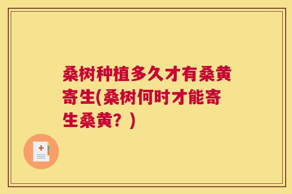 桑树种植多久才有桑黄寄生(桑树何时才能寄生桑黄?) 桑树种植多久才有桑黄寄生(桑树何时才能寄生桑黄?)
