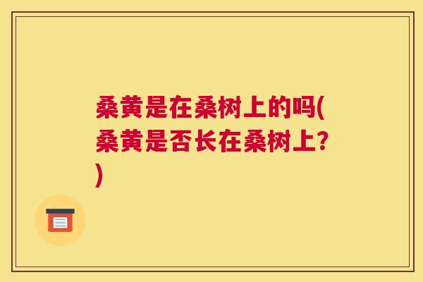 桑黄是在桑树上的吗(桑黄是否长在桑树上?) 桑黄是在桑树上的吗(桑黄是否长在桑树上?)