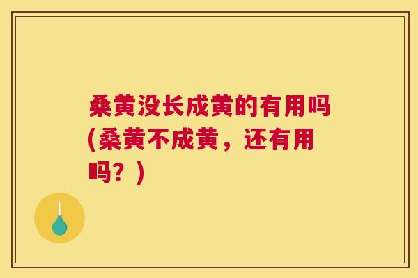 桑黄没长成黄的有用吗(桑黄不成黄,还有用吗?) 桑黄没长成黄的有用吗(桑黄不成黄,还有用吗?)