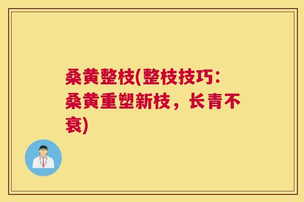桑黄整枝(整枝技巧:桑黄重塑新枝,长青不衰) 桑黄整枝(整枝技巧:桑黄重塑新枝,长青不衰)
