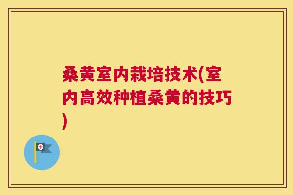 桑黄室内栽培技术(室内高效种植桑黄的技巧) 桑黄室内栽培技术(室内高效种植桑黄的技巧)