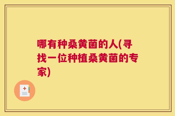 哪有种桑黄菌的人(寻找一位种植桑黄菌的专家) 哪有种桑黄菌的人(寻找一位种植桑黄菌的专家)