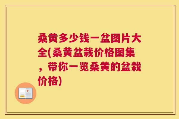 桑黄多少钱一盆图片大全(桑黄盆栽价格图集,带你一览桑黄的盆栽价格) 桑黄多少钱一盆图片大全(桑黄盆栽价格图集,带你一览桑黄的盆栽价格)