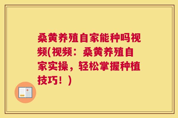 桑黄养殖自家能种吗视频(视频:桑黄养殖自家实操,轻松掌握种植技巧!) 桑黄养殖自家能种吗视频(视频:桑黄养殖自家实操,轻松掌握种植技巧!)