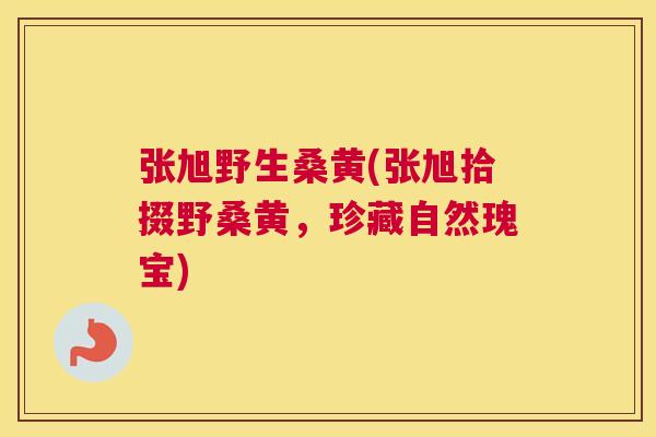 张旭野生桑黄(张旭拾掇野桑黄,珍藏自然瑰宝) 张旭野生桑黄(张旭拾掇野桑黄,珍藏自然瑰宝)