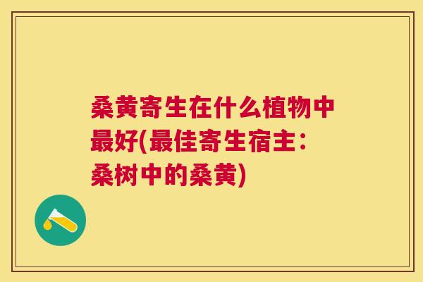 桑黄寄生在什么植物中好(佳寄生宿主:桑树中的桑黄) 桑黄寄生在什么植物中好(佳寄生宿主:桑树中的桑黄)