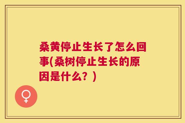 桑黄停止生长了怎么回事(桑树停止生长的原因是什么?) 桑黄停止生长了怎么回事(桑树停止生长的原因是什么?)