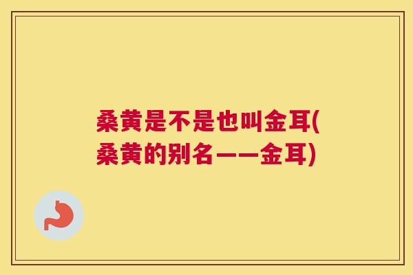 桑黄是不是也叫金耳(桑黄的别名——金耳) 桑黄是不是也叫金耳(桑黄的别名——金耳)