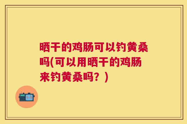 晒干的鸡肠可以钓黄桑吗(可以用晒干的鸡肠来钓黄桑吗?) 晒干的鸡肠可以钓黄桑吗(可以用晒干的鸡肠来钓黄桑吗?)