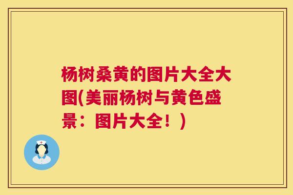 杨树桑黄的图片大全大图(美丽杨树与黄色盛景:图片大全!) 杨树桑黄的图片大全大图(美丽杨树与黄色盛景:图片大全!)
