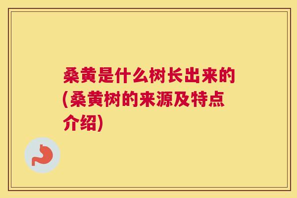 桑黄是什么树长出来的(桑黄树的来源及特点介绍) 桑黄是什么树长出来的(桑黄树的来源及特点介绍)