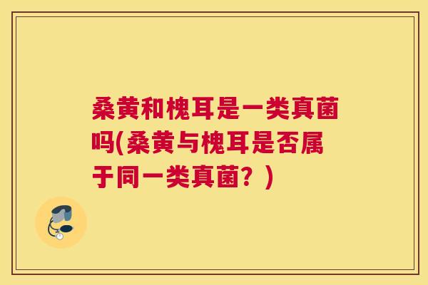 桑黄和槐耳是一类真菌吗(桑黄与槐耳是否属于同一类真菌?) 桑黄和槐耳是一类真菌吗(桑黄与槐耳是否属于同一类真菌?)