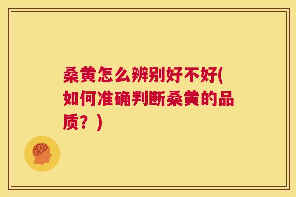 桑黄怎么辨别好不好(如何准确判断桑黄的品质?) 桑黄怎么辨别好不好(如何准确判断桑黄的品质?)
