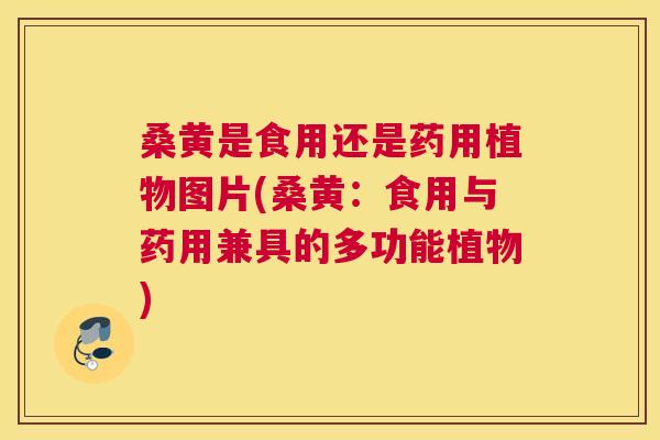 桑黄是食用还是药用植物图片(桑黄：食用与药用兼具的多功能植物)