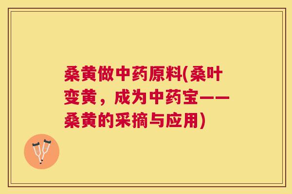 桑黄做原料(桑叶变黄,成为宝——桑黄的采摘与应用) 桑黄做原料(桑叶变黄,成为宝——桑黄的采摘与应用)