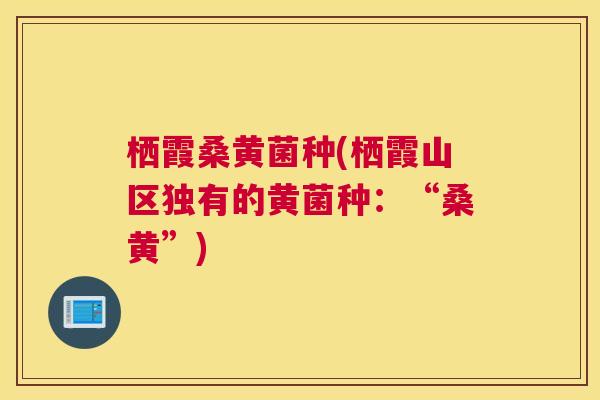 栖霞桑黄菌种(栖霞山区独有的黄菌种:“桑黄”) 栖霞桑黄菌种(栖霞山区独有的黄菌种:“桑黄”)