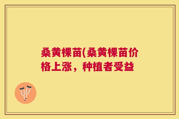 桑黄棵苗(桑黄棵苗价格上涨,种植者受益 桑黄棵苗(桑黄棵苗价格上涨,种植者受益