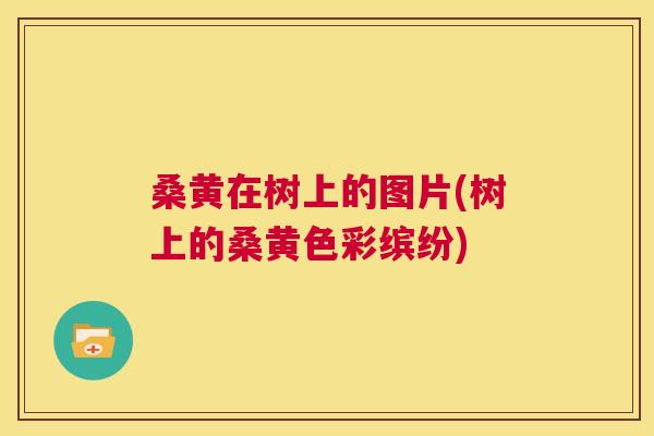 桑黄在树上的图片(树上的桑黄色彩缤纷) 桑黄在树上的图片(树上的桑黄色彩缤纷)