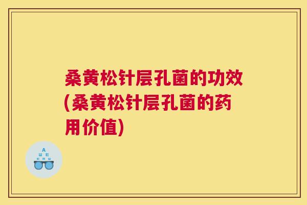 桑黄松针层孔菌的功效(桑黄松针层孔菌的药用价值) 桑黄松针层孔菌的功效(桑黄松针层孔菌的药用价值)