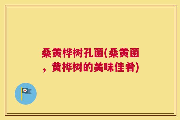 桑黄桦树孔菌(桑黄菌,黄桦树的美味佳肴) 桑黄桦树孔菌(桑黄菌,黄桦树的美味佳肴)