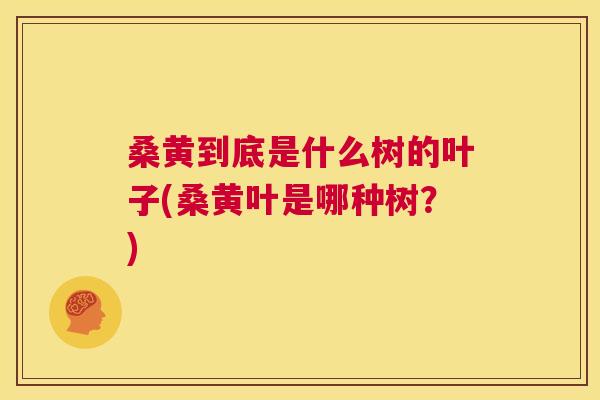 桑黄到底是什么树的叶子(桑黄叶是哪种树？)