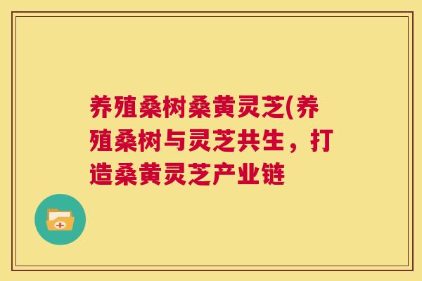 养殖桑树桑黄灵芝(养殖桑树与灵芝共生,打造桑黄灵芝产业链 养殖桑树桑黄灵芝(养殖桑树与灵芝共生,打造桑黄灵芝产业链