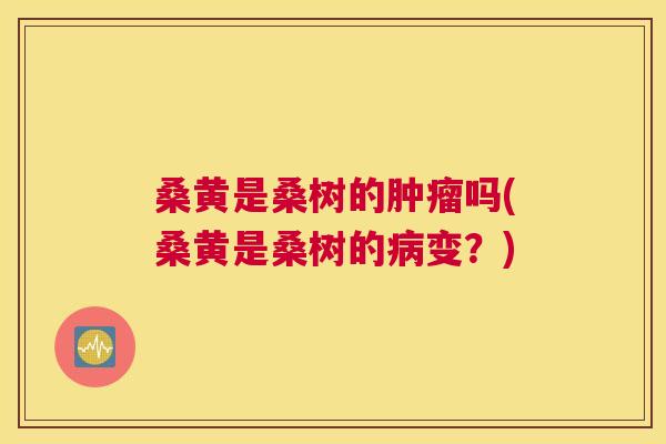 桑黄是桑树的吗(桑黄是桑树的变?) 桑黄是桑树的吗(桑黄是桑树的变?)