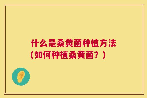 什么是桑黄菌种植方法(如何种植桑黄菌?) 什么是桑黄菌种植方法(如何种植桑黄菌?)