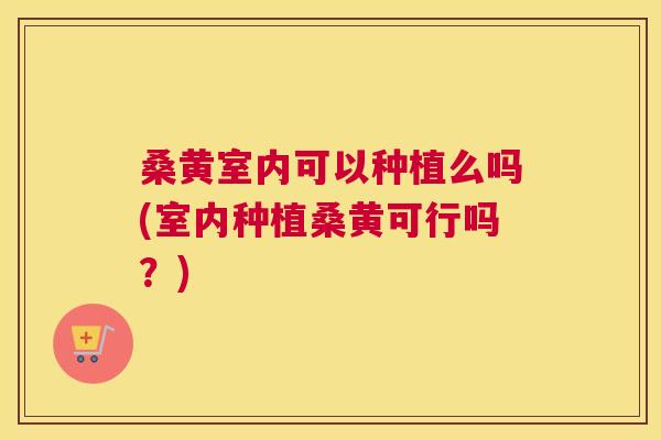 桑黄室内可以种植么吗(室内种植桑黄可行吗?) 桑黄室内可以种植么吗(室内种植桑黄可行吗?)