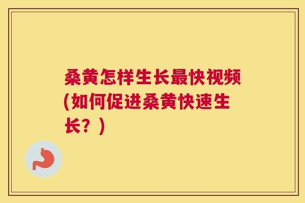 桑黄怎样生长快视频(如何促进桑黄快速生长?) 桑黄怎样生长快视频(如何促进桑黄快速生长?)