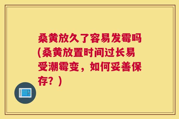 桑黄放久了容易发霉吗(桑黄放置时间过长易受潮霉变,如何妥善保存?) 桑黄放久了容易发霉吗(桑黄放置时间过长易受潮霉变,如何妥善保存?)