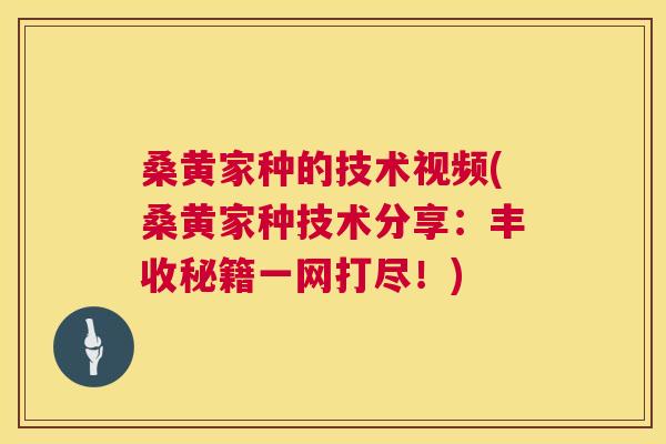 桑黄家种的技术视频(桑黄家种技术分享:丰收秘籍一网打尽!) 桑黄家种的技术视频(桑黄家种技术分享:丰收秘籍一网打尽!)