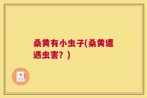 桑黄有小虫子(桑黄遭遇虫害?) 桑黄有小虫子(桑黄遭遇虫害?)