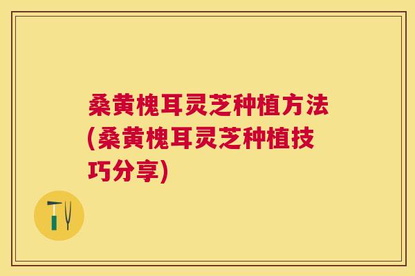 桑黄槐耳灵芝种植方法(桑黄槐耳灵芝种植技巧分享) 桑黄槐耳灵芝种植方法(桑黄槐耳灵芝种植技巧分享)