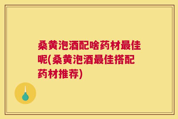 桑黄泡酒配啥药材佳呢(桑黄泡酒佳搭配药材推荐) 桑黄泡酒配啥药材佳呢(桑黄泡酒佳搭配药材推荐)