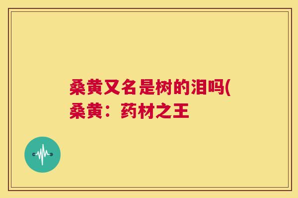桑黄又名是树的泪吗(桑黄:药材之王 桑黄又名是树的泪吗(桑黄:药材之王