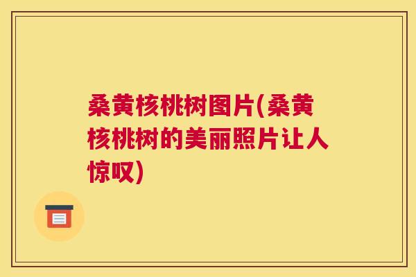 桑黄核桃树图片(桑黄核桃树的美丽照片让人惊叹) 桑黄核桃树图片(桑黄核桃树的美丽照片让人惊叹)