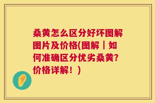 桑黄怎么区分好坏图解图片及价格(图解|如何准确区分优劣桑黄?价格详解!) 桑黄怎么区分好坏图解图片及价格(图解|如何准确区分优劣桑黄?价格详解!)