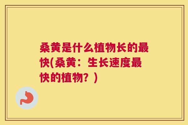 桑黄是什么植物长的快(桑黄:生长速度快的植物?) 桑黄是什么植物长的快(桑黄:生长速度快的植物?)