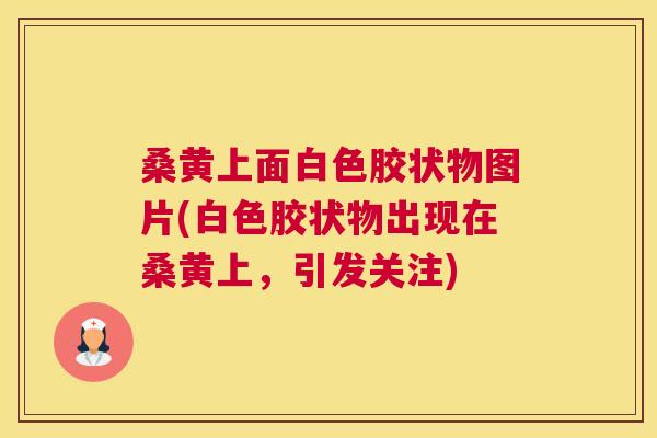 桑黄上面白色胶状物图片(白色胶状物出现在桑黄上，引发关注)