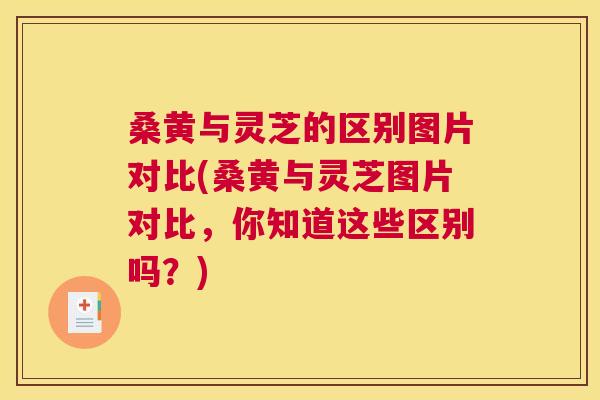 桑黄与灵芝的区别图片对比(桑黄与灵芝图片对比,你知道这些区别吗?) 桑黄与灵芝的区别图片对比(桑黄与灵芝图片对比,你知道这些区别吗?)