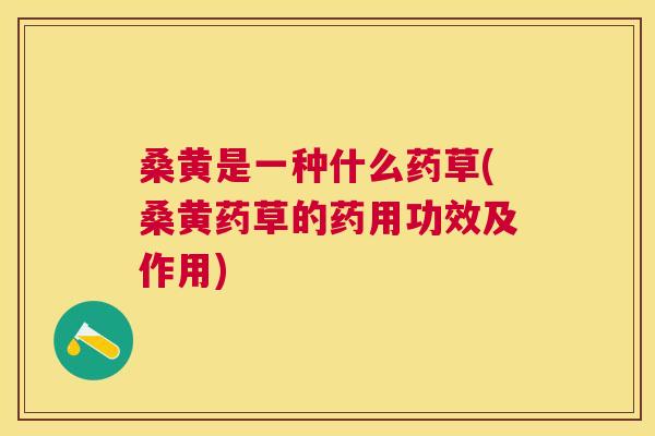 桑黄是一种什么药草(桑黄药草的药用功效及作用) 桑黄是一种什么药草(桑黄药草的药用功效及作用)