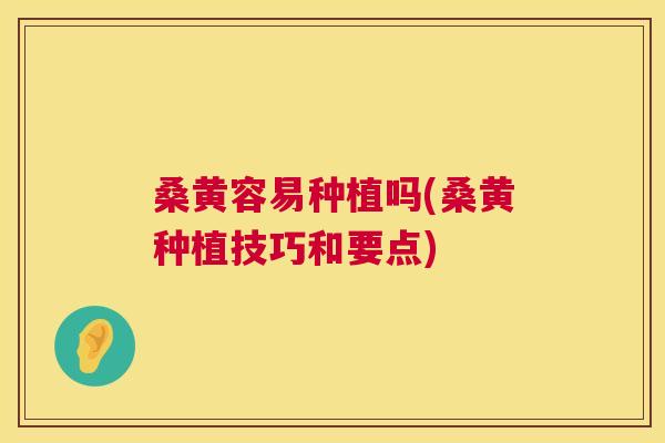 桑黄容易种植吗(桑黄种植技巧和要点) 桑黄容易种植吗(桑黄种植技巧和要点)