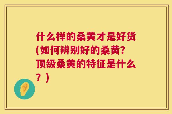 什么样的桑黄才是好货(如何辨别好的桑黄?桑黄的特征是什么?) 什么样的桑黄才是好货(如何辨别好的桑黄?桑黄的特征是什么?)
