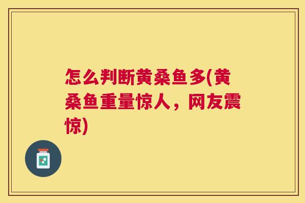 怎么判断黄桑鱼多(黄桑鱼重量惊人,网友震惊) 怎么判断黄桑鱼多(黄桑鱼重量惊人,网友震惊)