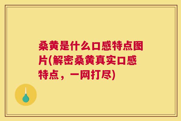桑黄是什么口感特点图片(解密桑黄真实口感特点,一网打尽) 桑黄是什么口感特点图片(解密桑黄真实口感特点,一网打尽)