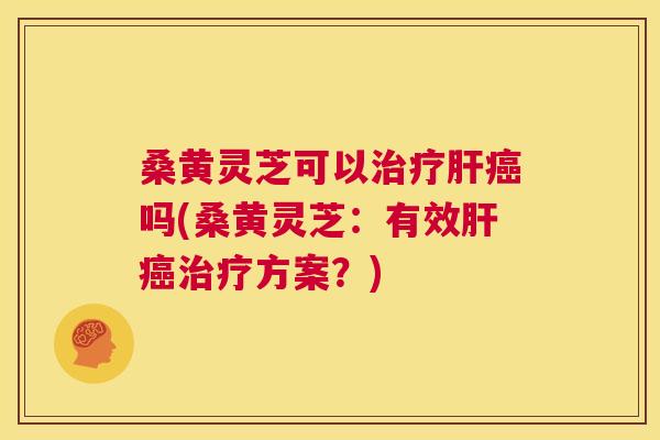 桑黄灵芝可以吗(桑黄灵芝:有效方案?) 桑黄灵芝可以吗(桑黄灵芝:有效方案?)