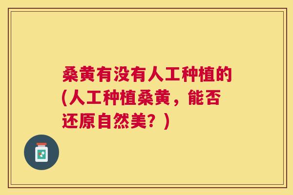 桑黄有没有人工种植的(人工种植桑黄,能否还原自然美?) 桑黄有没有人工种植的(人工种植桑黄,能否还原自然美?)