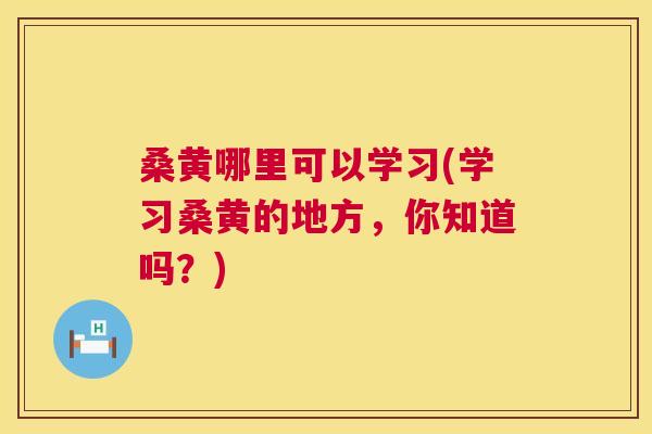 桑黄哪里可以学习(学习桑黄的地方,你知道吗?) 桑黄哪里可以学习(学习桑黄的地方,你知道吗?)